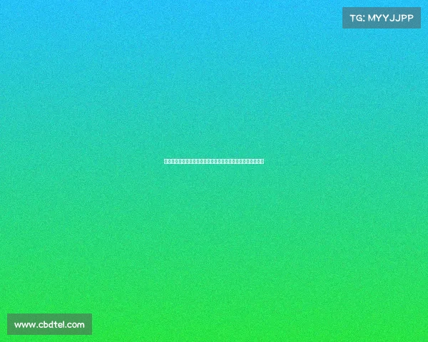 纽卡签沃尔特马德后仍需维萨支持伊萨克为核心推动非点球进攻