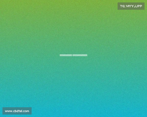 迈阿密热火队重塑辉煌 未来星光闪耀球场的新篇章