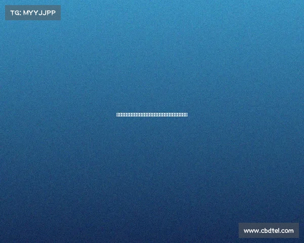 加帅正改进多夫比克弱点队长将围绕出场次数最多球员制定战术