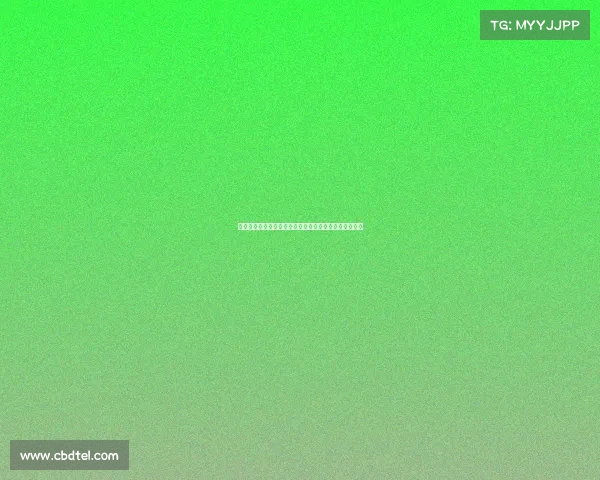 德甲升班马崛起之路：新贵如何在顶级联赛中生存与突围