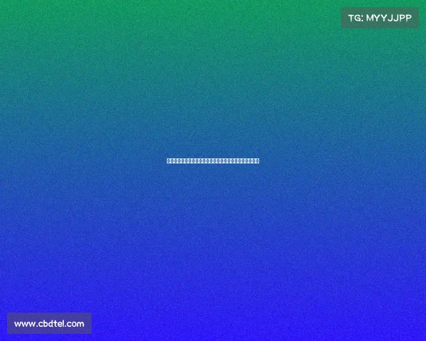 英超夏季转会窗口评估：媒体打分揭示各大俱乐部引援成绩