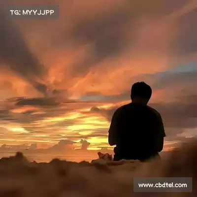 嵇寒畅